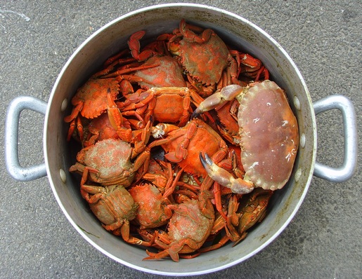 cuisson des crabes