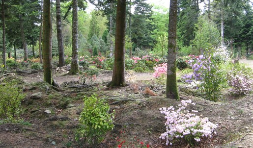 parc floral Boutiguery